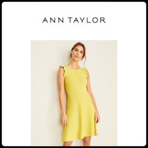 SOLD!! ANN TAYLOR Ruffle Sleeve Flare Sweater Dress || 8